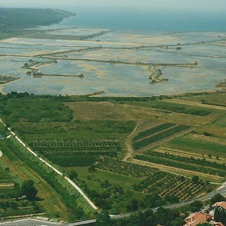 Appartamento Apartmaji In Vinogradnistvo Klobas Sečovlje Esterno foto